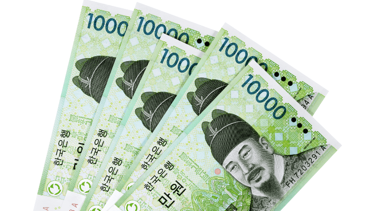 韓国ウォン 100万ウォン - その他